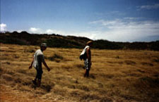 the way to green beach